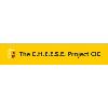 The C.H.E.E.S.E. Project CIC